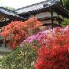 京都の寺社仏閣